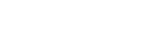 Logo polo it